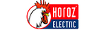 Horoz Electric