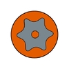 TAMPER TORX (с отверст.)