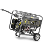 Бензиновий генератор PGG 3/1   (1.042-207.0)